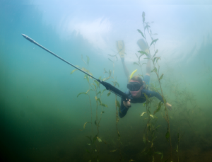 Spear-Phishing-Underwater