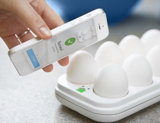 IoT Quirky Egg Minder