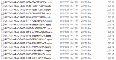 zepto files.png