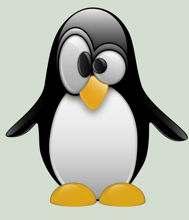 Fast Facts Regarding Linux Root User